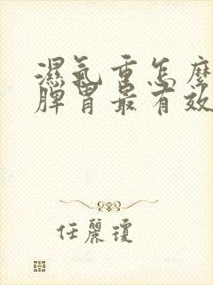 湿气重怎么调理脾胃最有效