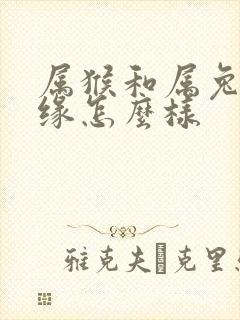 属猴和属兔的姻缘怎么样封面