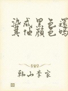 染成黑色还能染其他颜色吗封面