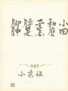 脚脖子和小腿浮肿是怎么回事