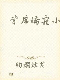 首席娇宠小情人