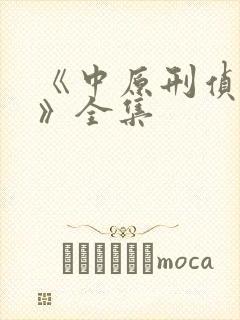 《中原刑侦大案》全集