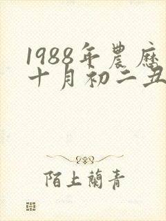 1988年农历十月初二丑时出生的命运