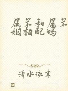 属羊和属羊的婚姻相配吗