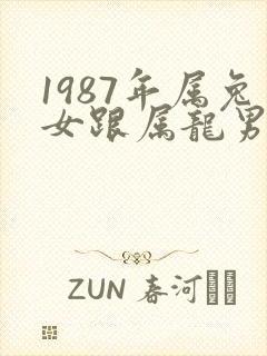 1987年属兔女跟属龙男相配吗