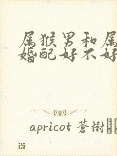 属猴男和属龙女婚配好不好