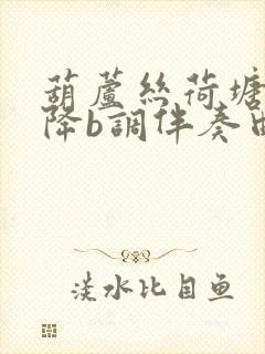 葫芦丝荷塘月色降b调伴奏曲封面