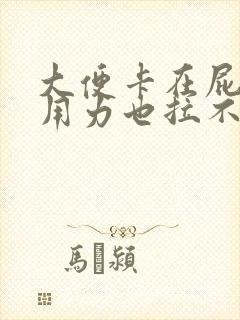 大便卡在屁眼口用力也拉不出来怎么办封面