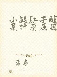 小腿肚子酸胀痛是什么原因