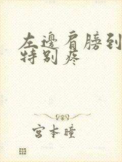 左边肩膀到脖子特别疼