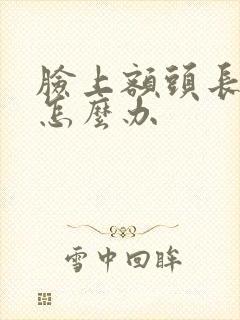 脸上额头长痤疮怎么办