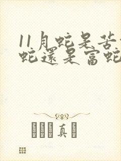 11月蛇是苦命蛇还是富蛇