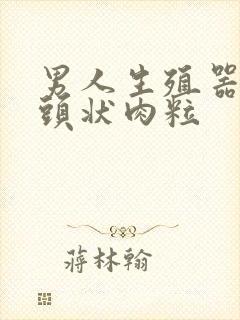 男人生殖器长乳头状肉粒