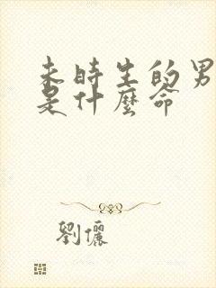 未时生的男孩子是什么命