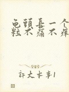 龟头长一个小肉粒不痛不痒