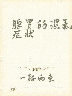 脾胃的湿气重的症状