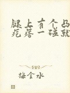 腿上有个凸起硬疙瘩一碰就疼