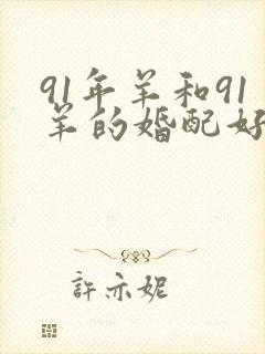 91年羊和91羊的婚配好吗