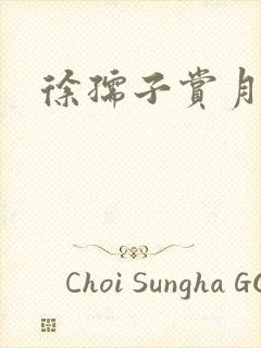 徐孺子赏月封面