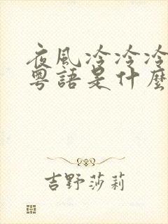 夜风冷冷冷歌词粤语是什么歌