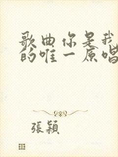 歌曲你是我今生的唯一原唱封面