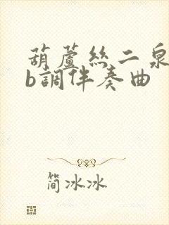 葫芦丝二泉吟降b调伴奏曲