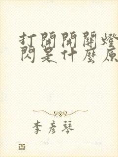 打开开关灯一直闪是什么原因