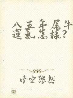 八五年属牛今年运气怎样?