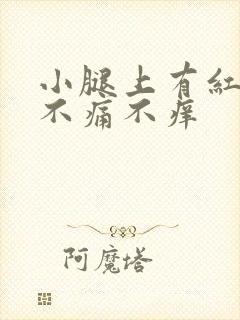 小腿上有红点点不痛不痒封面