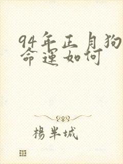 94年正月狗的命运如何