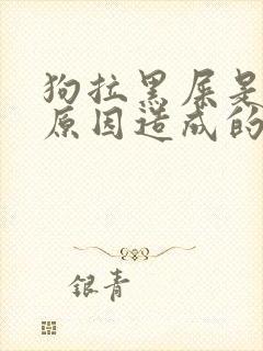 狗拉黑屎是什么原因造成的