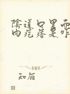 阴道口里面有小肉疙瘩是咋回事