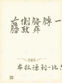 右侧胳膊一抬肩膀就疼