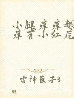 小腿痒痒越挠越痒有小红疙瘩