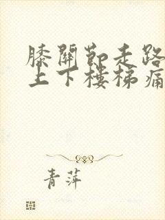 膝关节走路不痛上下楼梯痛怎么办封面