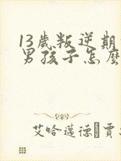 13岁叛逆期的男孩子怎么去引导