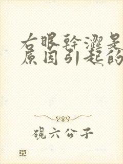 右眼干涩是什么原因引起的