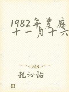 1982年农历十一月十六属狗是什么命封面