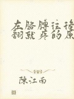 左胳膊往后背上翻就疼的原因