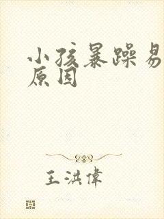 小孩暴躁易怒的原因