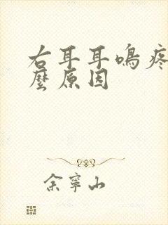 右耳耳鸣疼是什么原因