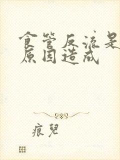 食管反流是什么原因造成