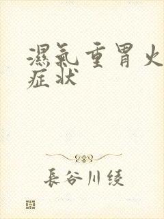 湿气重胃火旺的症状