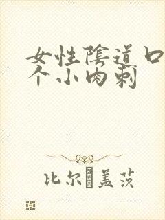 女性阴道口里有个小肉刺