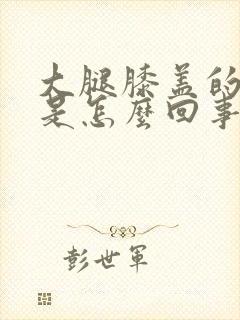 大腿膝盖的筋疼是怎么回事