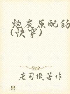 炮灰原配的人生(快穿)