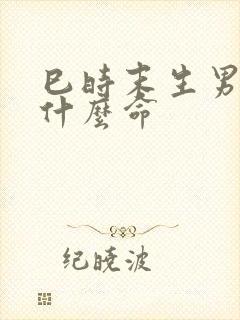 巳时末生男孩是什么命