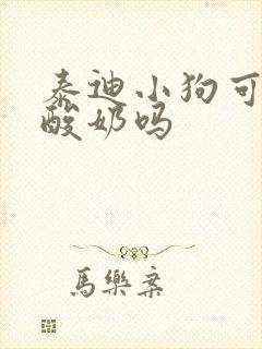 泰迪小狗可以喝酸奶吗