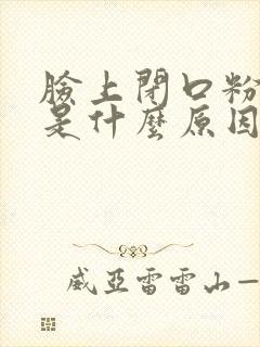 脸上闭口粉刺多是什么原因封面