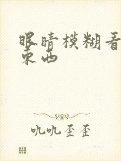 眼睛模糊看不清东西